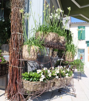 bouquet de fleurs Ile de Ré